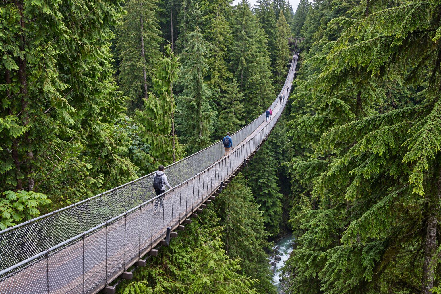 Capilano Suspension Bridge, British Columbia